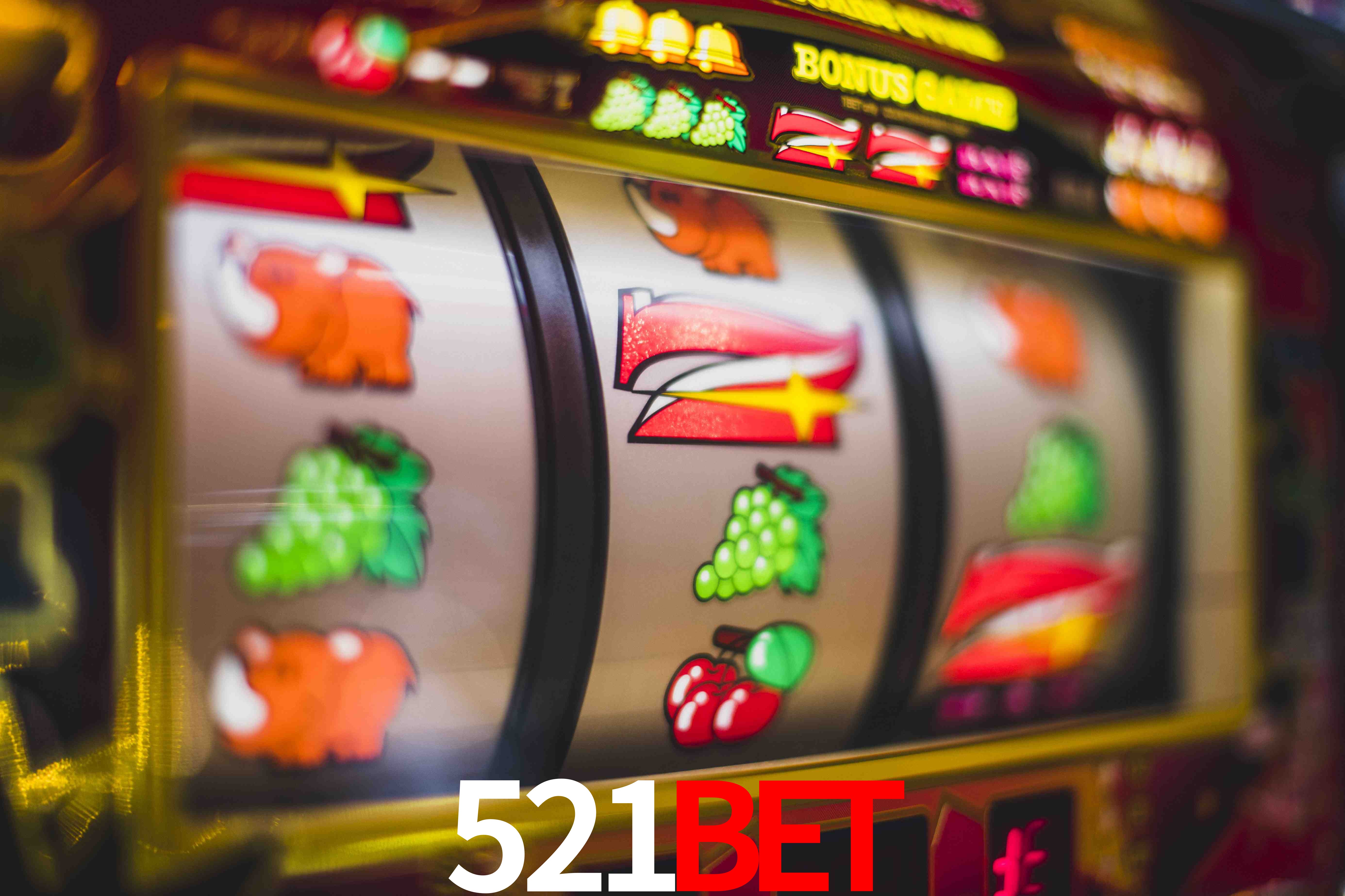 Sports Statistics 521bet